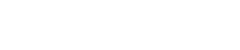 Tax Systems plc