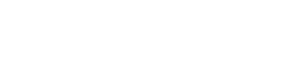 Edgescan