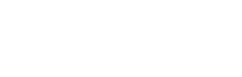 FluoRok